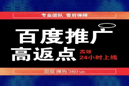 顶级SEM服务公司案例解析